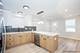 1810 S Hamlin, Chicago, IL 60623