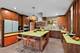 87 Ravinoaks, Highland Park, IL 60035