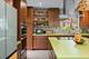 87 Ravinoaks, Highland Park, IL 60035