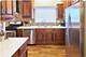 1521 Meadow View, Grayslake, IL 60030
