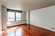 222 E Pearson Unit 1806, Chicago, IL 60611