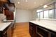 1609 W Warren Unit 216, Chicago, IL 60612