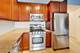 1250 S Indiana Unit 1013, Chicago, IL 60605
