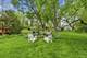 29W454 Ray, West Chicago, IL 60185