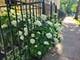 1910 W Chase Unit 204, Chicago, IL 60626