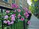 1910 W Chase Unit 204, Chicago, IL 60626