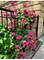 1910 W Chase Unit 204, Chicago, IL 60626