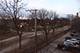 6505 N Bell, Chicago, IL 60645