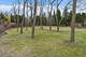 28360 Heritage Oak, Barrington, IL 60010