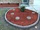 531 Wildwood, Park Forest, IL 60466