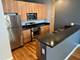 1224 W Van Buren Unit 511, Chicago, IL 60607