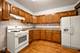 1536 W 17th, Chicago, IL 60608