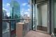 600 N Fairbanks Unit 2809, Chicago, IL 60611