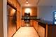 1255 S State Unit 1201, Chicago, IL 60605