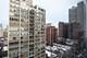 33 E Cedar Unit 15F, Chicago, IL 60611