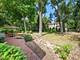 411 Birchwood, Hinsdale, IL 60521