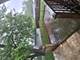 15112 Honore, Harvey, IL 60426