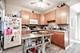 3039 N Haussen, Chicago, IL 60618
