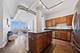 720 N Larrabee Unit 1711, Chicago, IL 60654