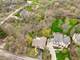 4624 Lee, Downers Grove, IL 60515