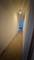 1657 N Artesian, Chicago, IL 60647