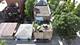 1657 N Artesian, Chicago, IL 60647