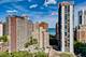 1339 N Dearborn Unit 11H, Chicago, IL 60610
