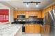 211 E Ohio Unit 1925, Chicago, IL 60611