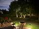 2511 Wild Timothy, Naperville, IL 60564