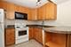 10111 Old Orchard Unit 101, Skokie, IL 60076