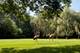 568 Plymouth, Inverness, IL 60067