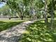 8936 N Parkside Unit 311, Des Plaines, IL 60016