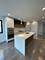 719 N Elizabeth Unit 3S, Chicago, IL 60642