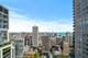 10 E Delaware Unit 18E, Chicago, IL 60611