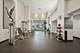 474 N Lake Shore Unit 5309, Chicago, IL 60611