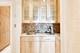 1755 E 55th Unit 804, Chicago, IL 60615