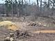 Lot 1 Asbury, Fox River Grove, IL 60021