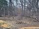 Lot 1 Asbury, Fox River Grove, IL 60021