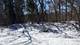 Lot 1 Asbury, Fox River Grove, IL 60021