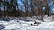 Lot 1 Asbury, Fox River Grove, IL 60021