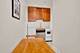 1100 N Lasalle Unit 511, Chicago, IL 60610