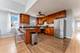 1024 W 18th, Chicago, IL 60608