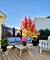 2061 Windham, Wheaton, IL 60187