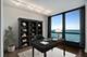 910 N Lake Shore Unit 2819, Chicago, IL 60611