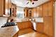 944 N Ridgeland, Oak Park, IL 60302