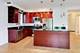 815 N Marshfield Unit 204, Chicago, IL 60622