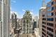118 E Erie Unit 35G, Chicago, IL 60611
