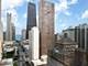 118 E Erie Unit 31G, Chicago, IL 60611