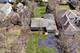1305 Stratford, Deerfield, IL 60015