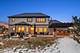 11529 Torino, Frankfort, IL 60423